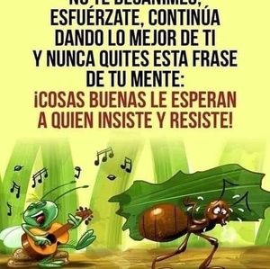 Meet your Posher, Vilma